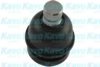 KAVO PARTS SBJ-5530 Ball Joint